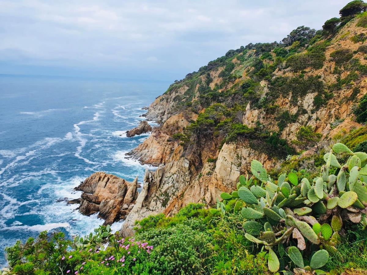 Apartamento Tossa De Mar Exteriör bild