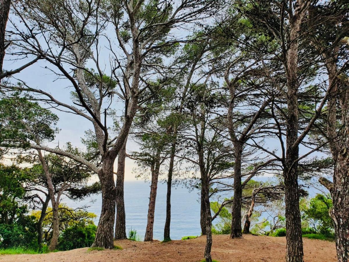 Apartamento Tossa De Mar Exteriör bild