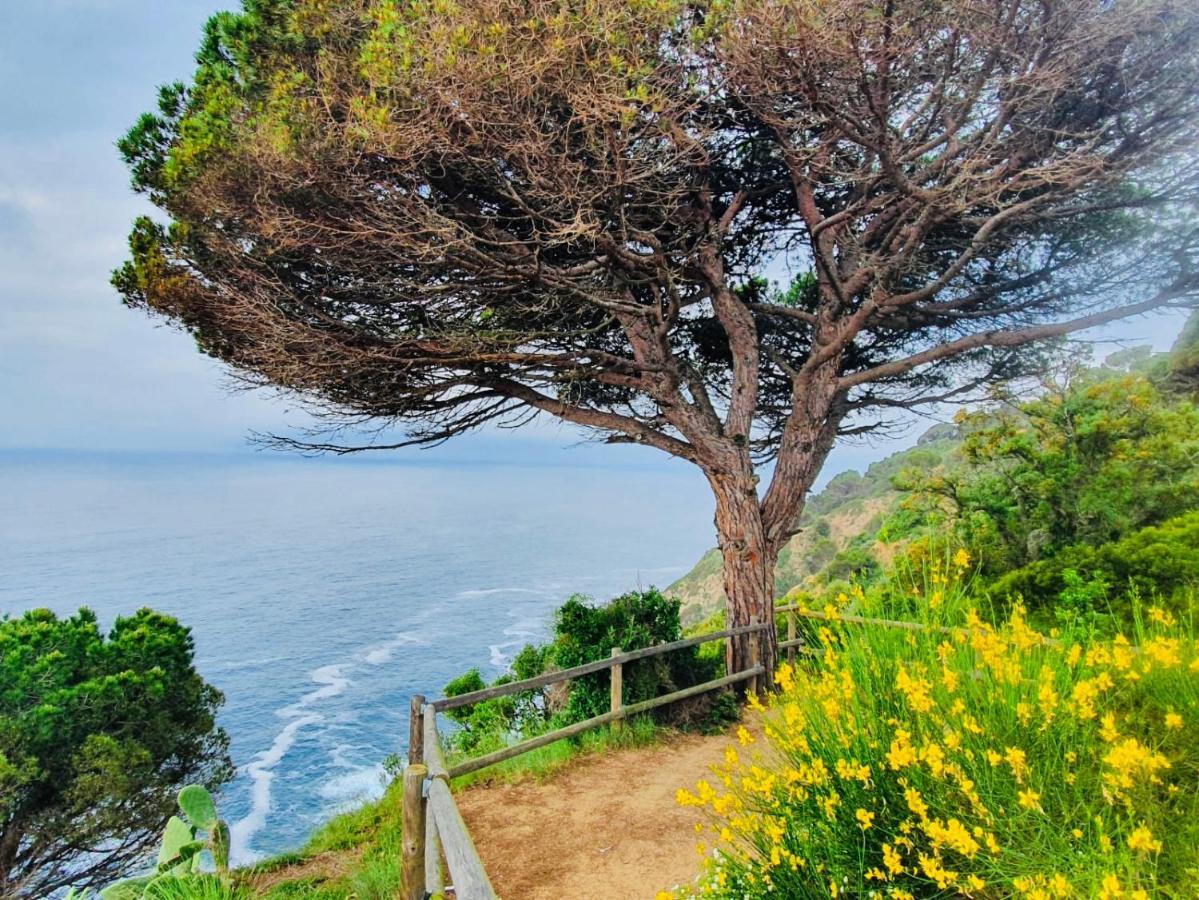 Apartamento Tossa De Mar Exteriör bild